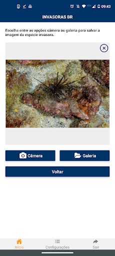Invasoras BR Screen 2