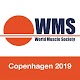 WMS 2019 Descarga en Windows