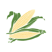 Rwanda Maize Production Training