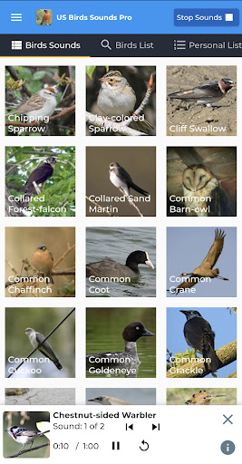 American Birds Sounds Pro Screen 2