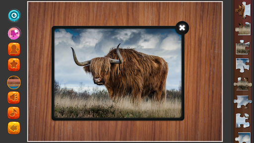 New Jigsaw Puzzle 2020