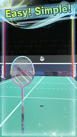 Game screenshot Badminton3D Real Badminton hack