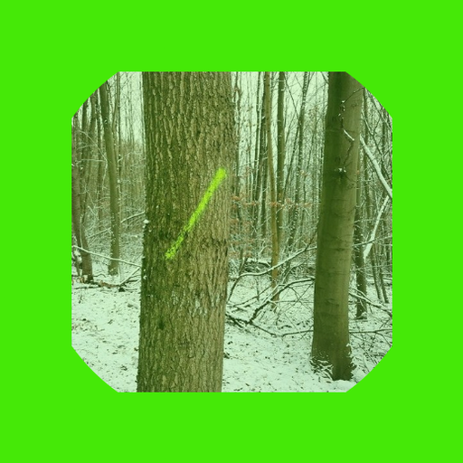 Durchforstung logo