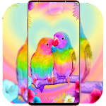 Cover Image of Download Bird Wallpaper HD  APK