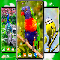 Bird Parrots HD Live Wallpaper
