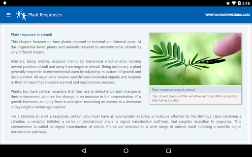 Plant Responses Screen 2
