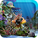 3D Aquarium Live Wallpaper HD For PC