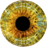 Cover Image of ดาวน์โหลด การทดสอบตาบอดสีอิชิฮาระ  APK