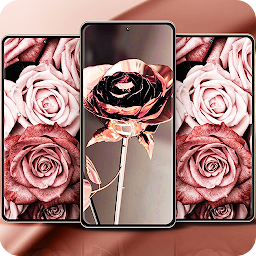 Icon image Rose Gold Wallpapers