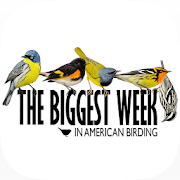 Top 23 Travel & Local Apps Like Biggest Week in Am. Birding - Best Alternatives