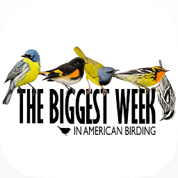 Icon image Biggest Week in Am. Birding