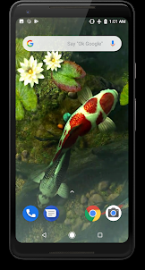 Koi Fish Video Live Wallpaper