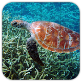 Tile Puzzles · Turtles icon