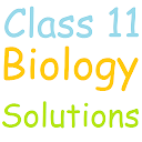 Class 11 Biology Solutions 