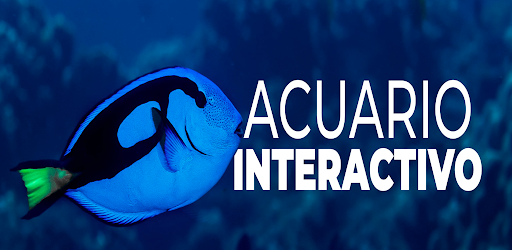 Acuario Inbursa Navegapp