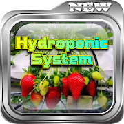 Hydroponic Plant Cultivation