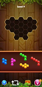 Hexagon Puzzle: Blocks Match