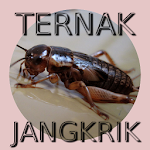 Cover Image of 下载 Beternak dan Budidaya Jangkrik  APK