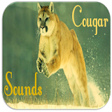 Cougar & Mountain Lion Sounds icon