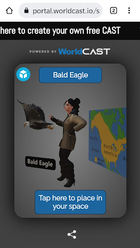 Bald Eagle AR Tabletop Course Screen 3