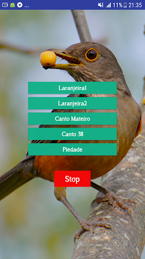 Android application Cantos do Sabiá screenshort