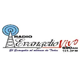 Radio Evangelio Vivo Panama (C icon