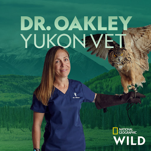 Dr. Oakley, Yukon Vet TV on Google Play