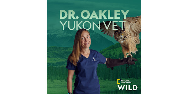 Dr. Oakley, Yukon Vet - TV on Google Play