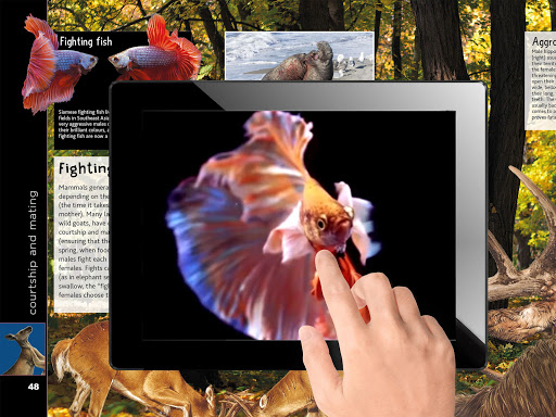 TapADot-Animals Screen 2