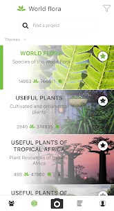 PlantNet Plant Identification 3