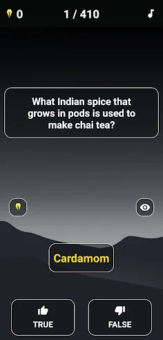 True or False Quiz - Screenshot 4