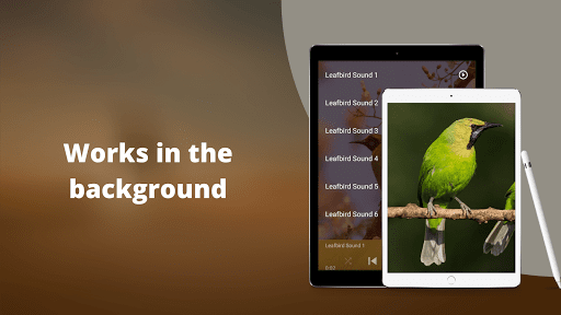 Leafbird Sounds Screen 3