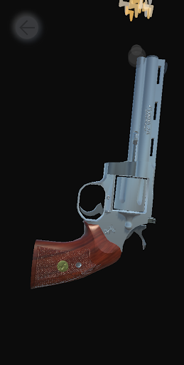 Revolver Simulator Screen 2