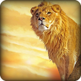 Angry Lion Simulator 2016 icon