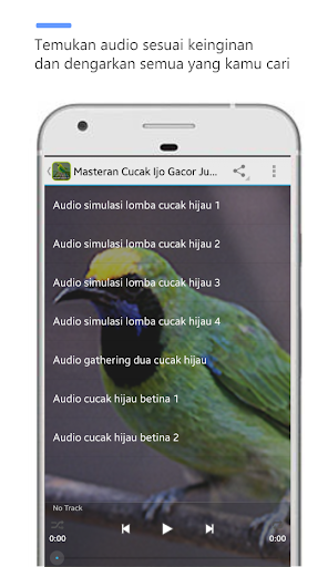 Masteran Cucak Ijo Full Isian Screen 2