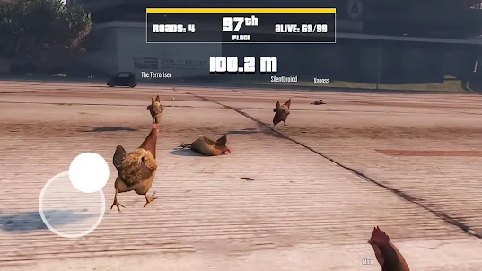 Animal Cross Road