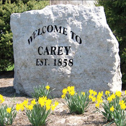 Symbolbild für Choose Carey