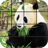 Panda Puzzle Games icon