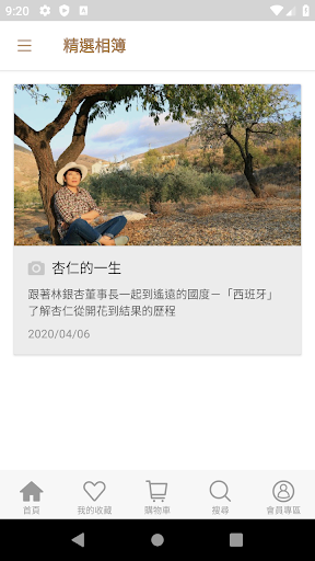 林銀杏 Ginkgo Lin Screen 3
