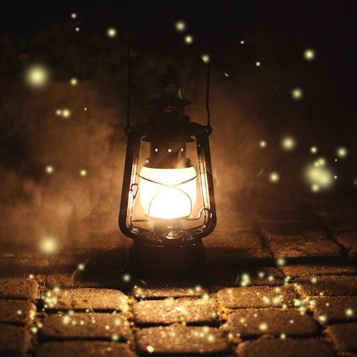 Fireflies Live Wallpaper logo