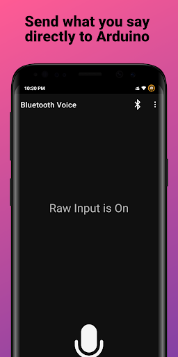 Bluetooth Voice: Arduino Screen 2