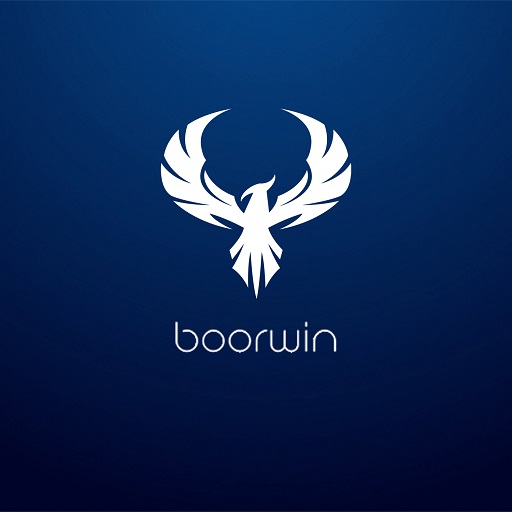boorwin lite logo