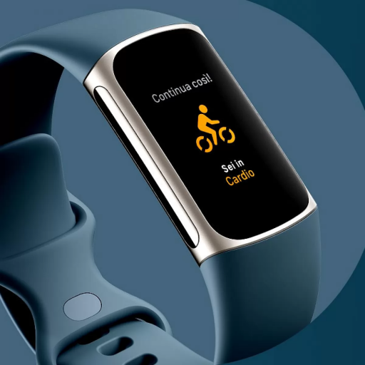 Fitbit Charge 6 Fitness Guide logo