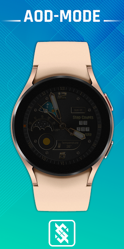 BFF5 - Gold Analog Information Screen 2