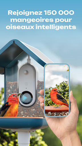 Bird Buddy, une mangeoire connectée pour observer les oiseaux