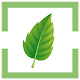 Download Naturestat - Nature phrases to share For PC Windows and Mac 1.0