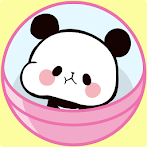 Mochi Mochi Panda Collection