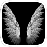 Love Angel Wings Theme icon
