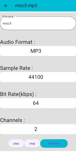Audio converts Screen 3