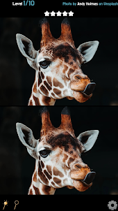 Find 5 Differences - Animals